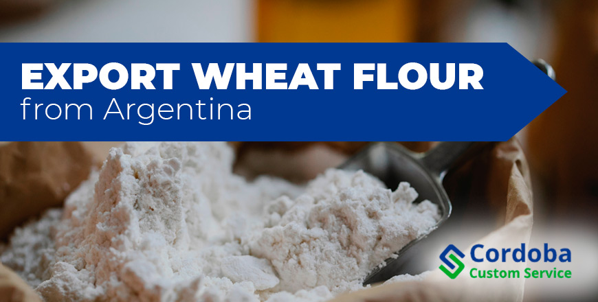 export wheat flour from Argentina