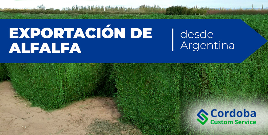 exportación de alfalfa desde Argentina