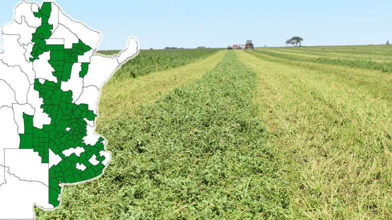 Producción de alfalfa en Argentina