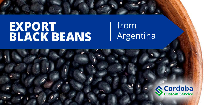 export black beans from Argentina